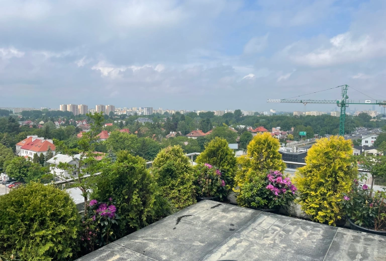 widok z dachu na miasto