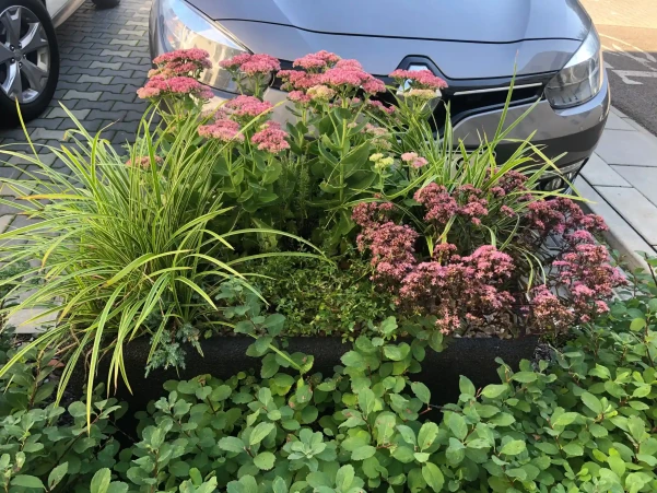 IMG456288126ef60303232832