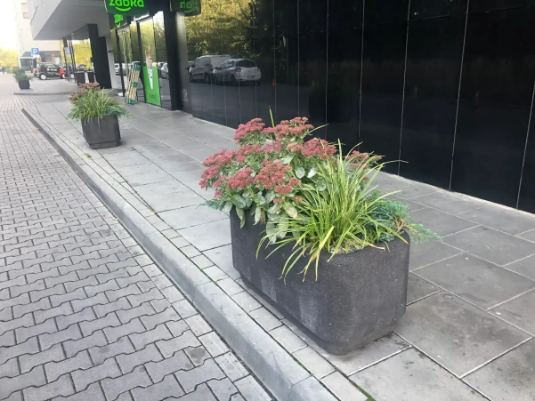 IMG47638389446f0303232744