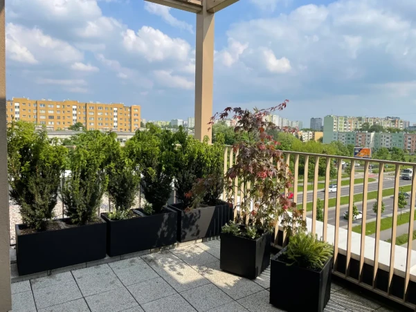 IMG5169d7406dfc0324220607-1