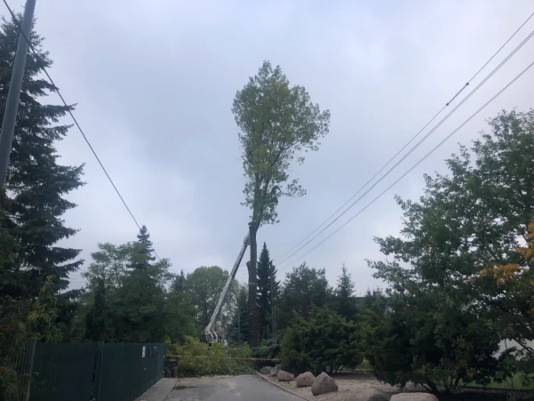 IMG012802ef561b0303234200