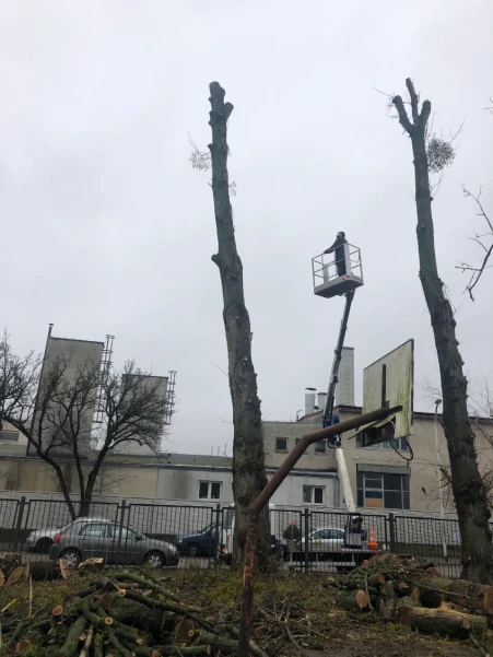 IMG08664d4c96a60303233755