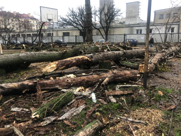 IMG090401d0a0d50303233715