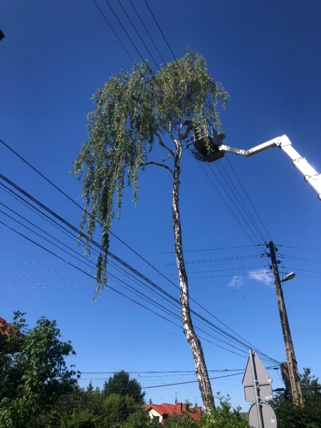 IMG3348d9bba4a60303233036