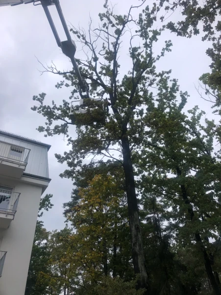 IMG4862409b47840303232243