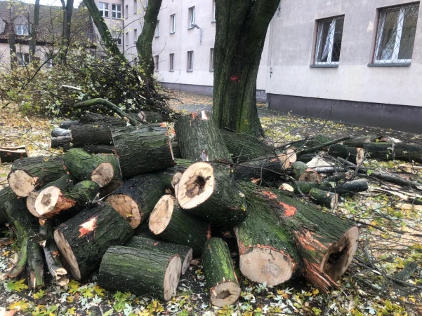 IMG505194c226b30303231627