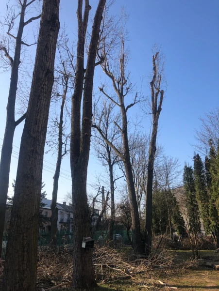 IMG52745883fd110303231051