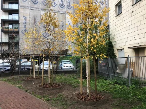 IMG0364c96d64400303234122