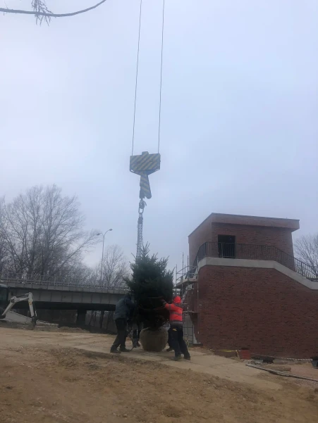 IMG06735ebc26350303234039