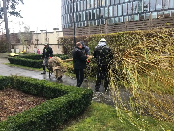 IMG0688314aa1680303233916