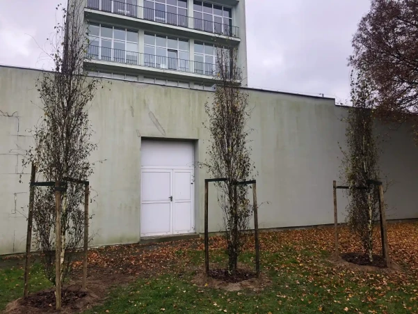 IMG500448949d120303232202