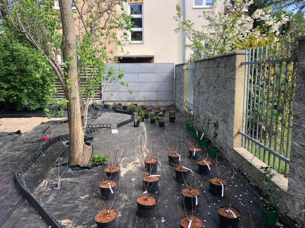 IMG2199fff209d20303233635