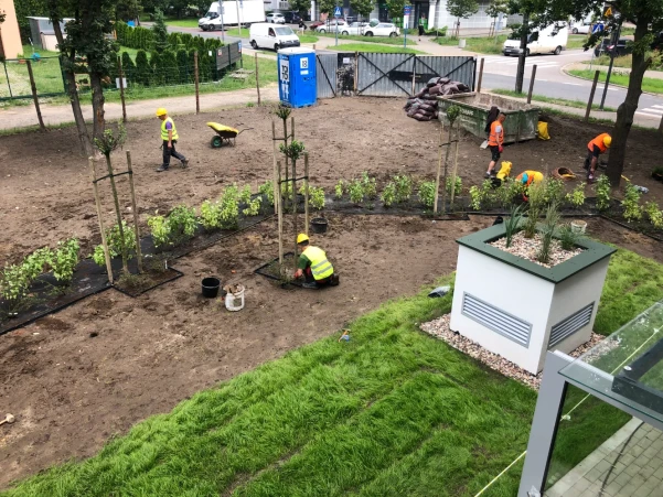 IMG2788d359a7670303233354