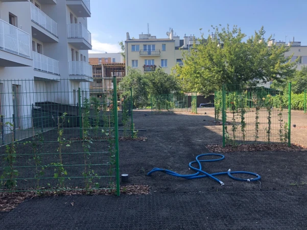 IMG3462a9d63b960303232956