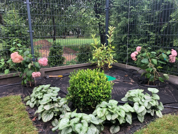 IMG4988464194790304001747