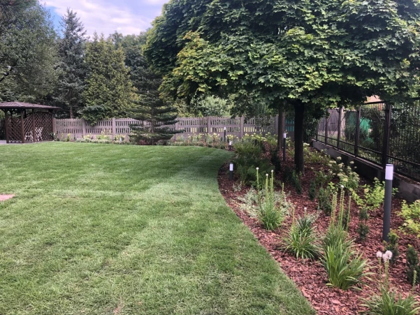 IMG8271cb088e020304000423